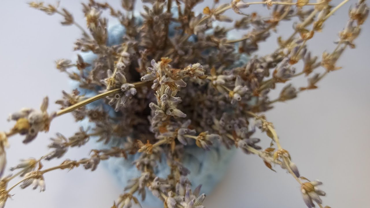 ❤️🌷CROCHET VASE TUTORİAL (VAZO YAPIMI )#keşfet #penyeip #lavanta