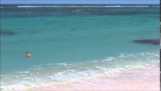 antigua barbuda