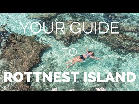 ROTTNEST ISLAND - How to Make the Most of your Day Trip from Perth