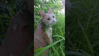 Beaky Is At Sass Level 10 Today 🔥😼