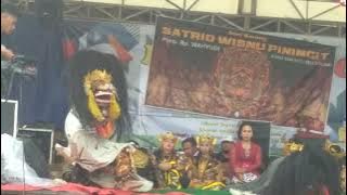 tari rapak pambuko hebohh !!!barongan satrio visnu piningit live dk lowo rejo ,,kunduran,