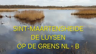 Download Lagu Prachtig gebied! Sint-Maartensheide - De Luysen op de grens van Nederland en België – 4K MP3