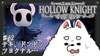 【Hollow Knight】敵が強い…！だが俺のほうがもっと強…かったらいいなぁ！？？【初見プレイ】