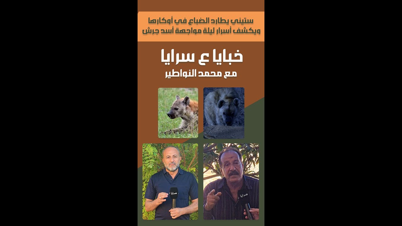 ستيني يطارد الضباع في أوكارها.. ويكشف أسرار ليلة مواجهة 