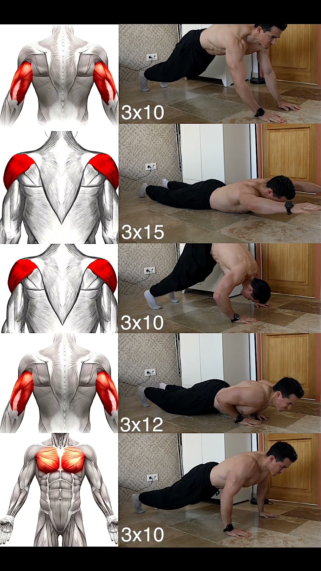 Best home workout !! ?
