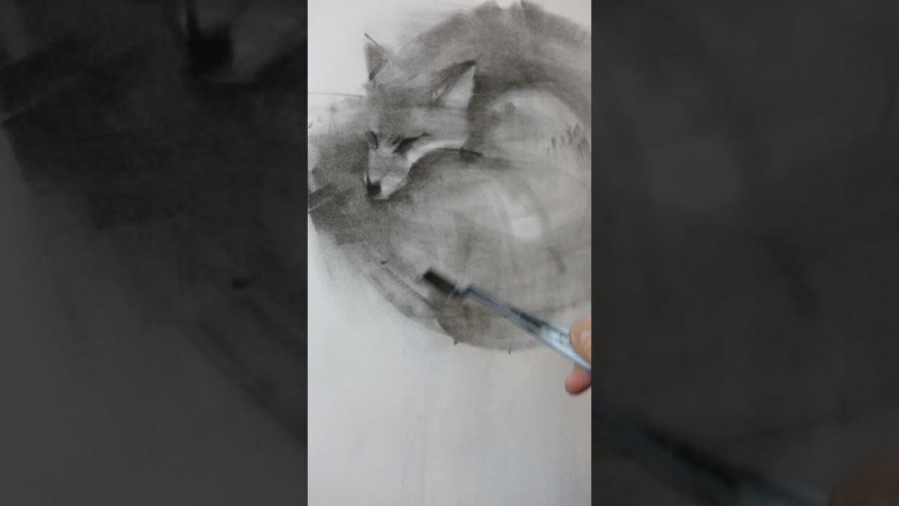 Fox drawing 
