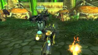 pollo in moto - WoW screenshot 5