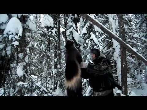 Welcome To TheWildNorth thumbnail