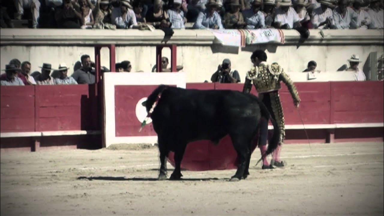JOSÉ TOMÁS - PASODOBLE (Video oficial) JOSÉ TOMÁS - PASODOBLE (Video oficial)