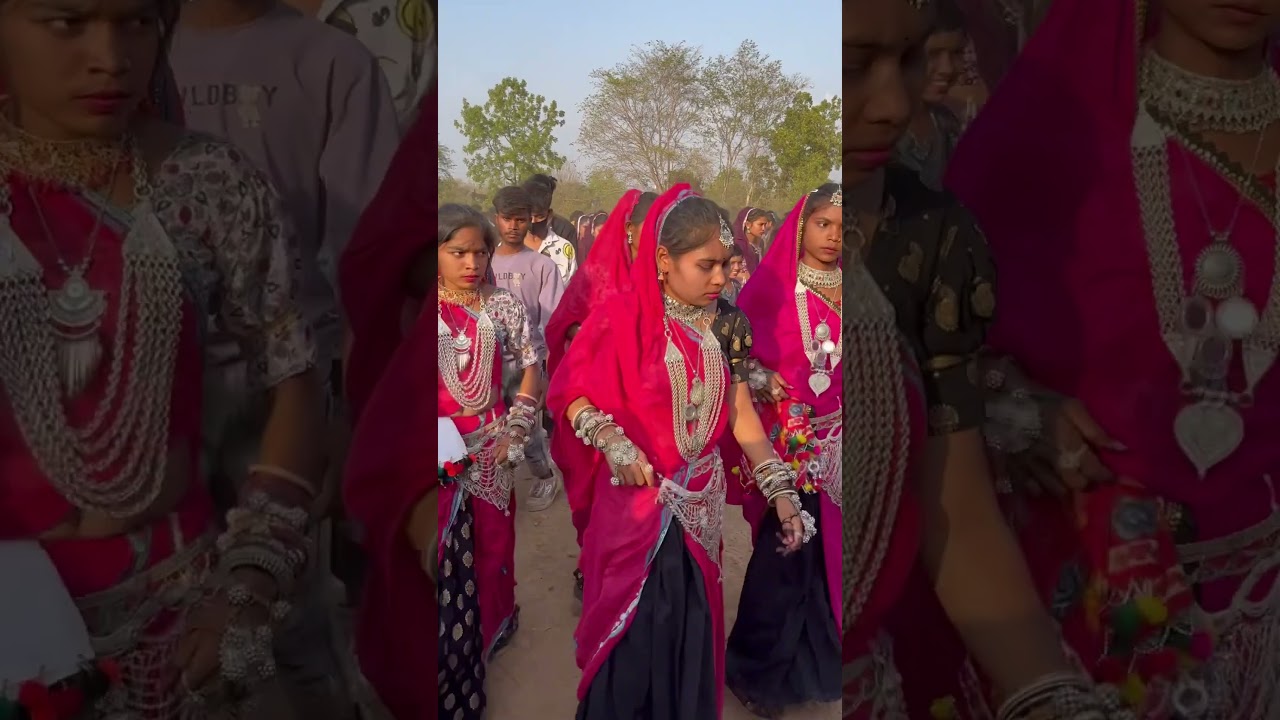 Adiwasi indian culture dance video 2024 / Tribal dance