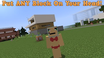 How to put ANY Block on Your Head in Minecraft in 1.16!