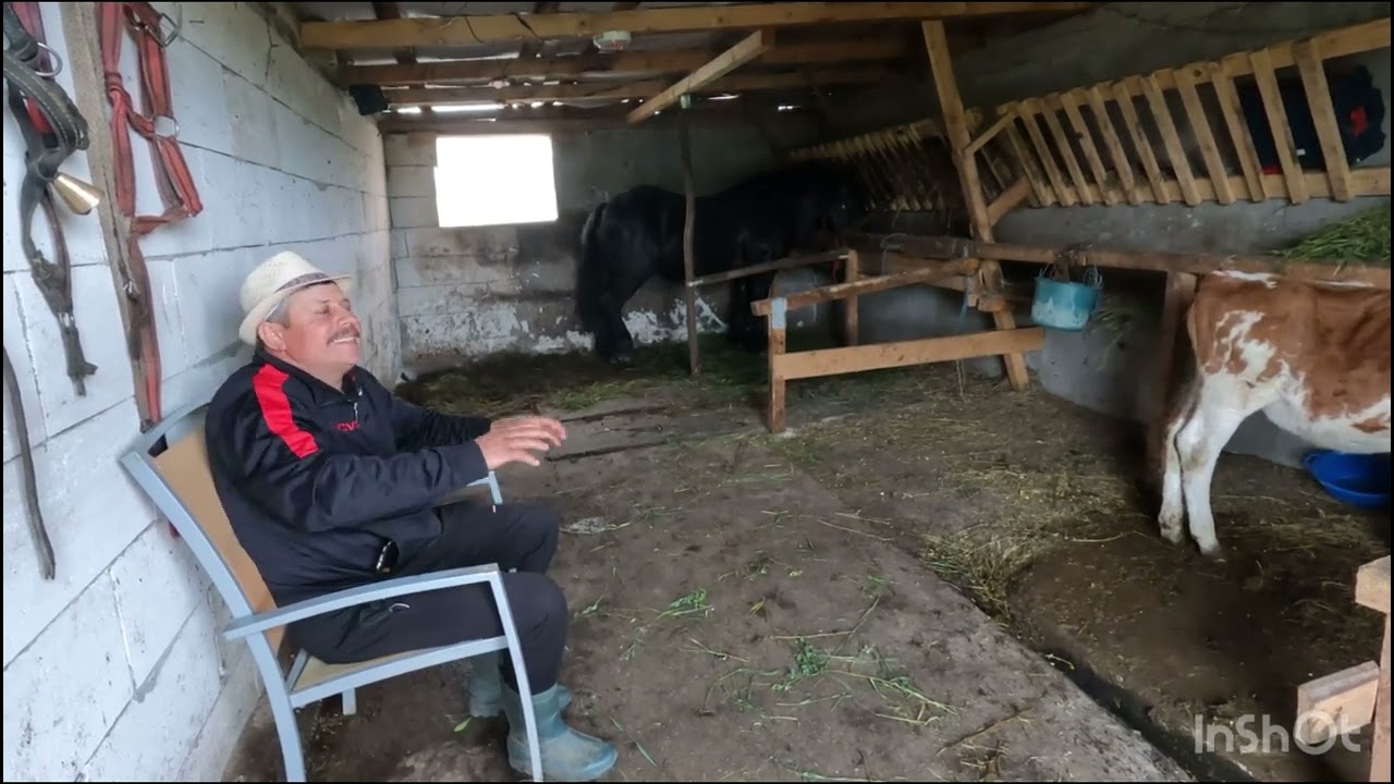 DL Pancica din Sarmas și Dragostea Pentru Animale.🐎🐏🐑Un Mare Cunoscător la Cai 🐴