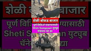 शेळी बोकड बाजार #viral #shortsvideo #शेतकरी #शेळीपालन #शेळी #goat #goats #shorts #bazar #bajarbhav