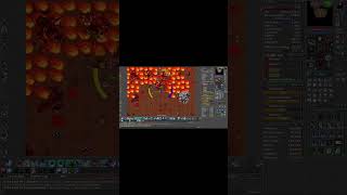 Druid takes Demons for a walk