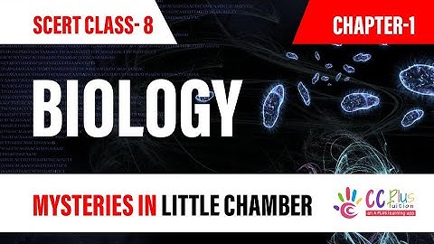 SCERT:  Biology Std 8, Chapter 1, Life mysteries in little chambers, Excercise Questions