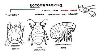 Parasites Overview