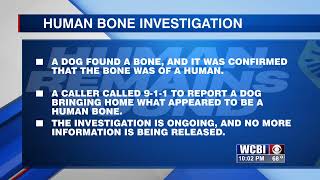 An investigation is underway after a dog found a human bone in Lauderdale County.