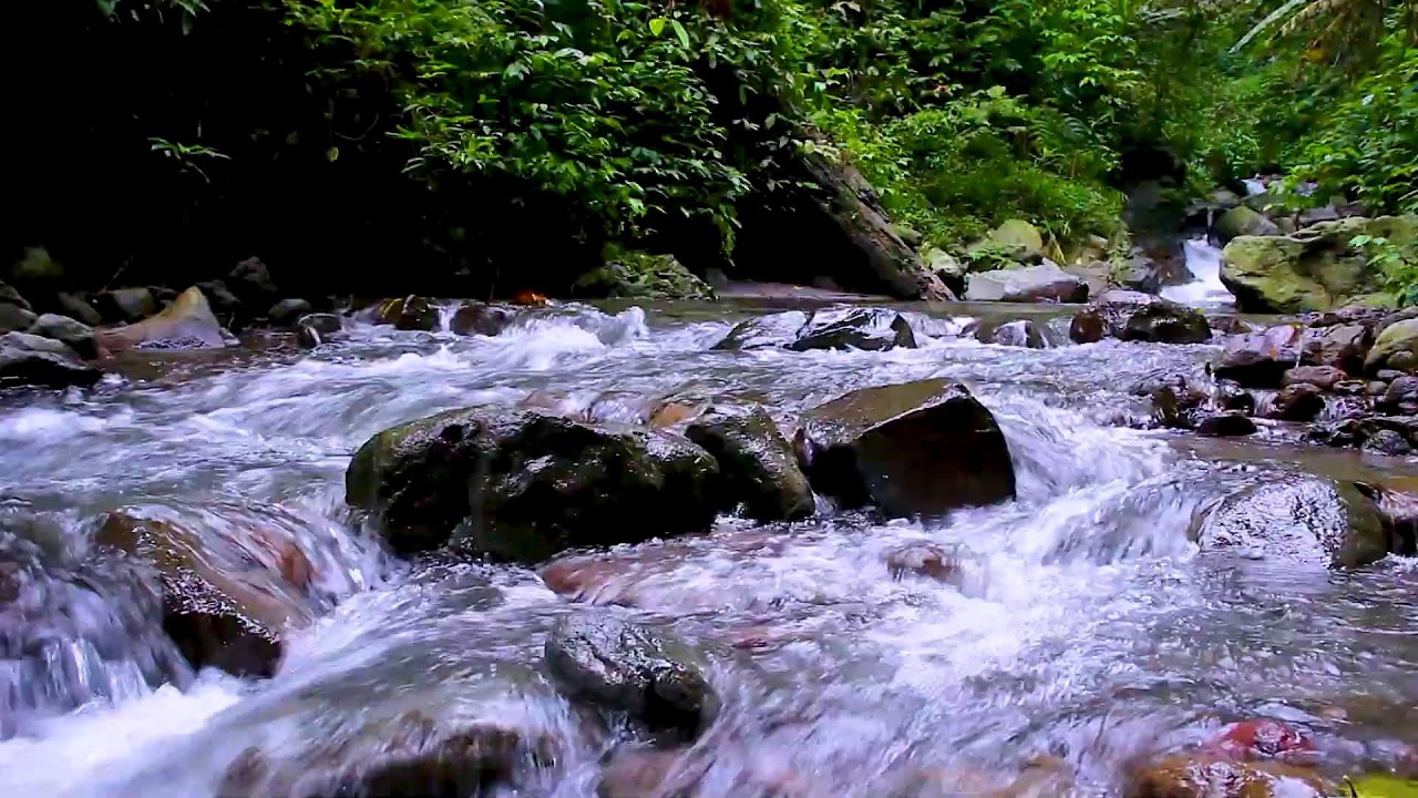 River Sounds for Overthinking and Anxiety | Deep Sleep Natural Relaxation