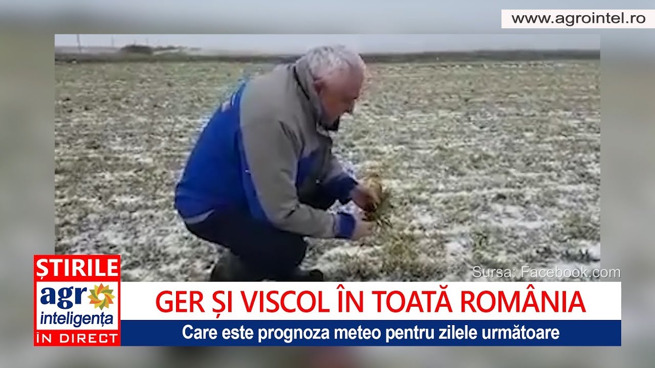 Ger și Viscol Prognoza Meteo Pentru Zilele Următoare Youtube