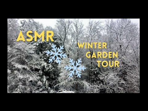 Outdoor ASMR Walk in the Snow ❄️ Winter Garden Tour + Soft Spoken Ramble (lofi)