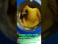 orange sauce experiment ( vacuum cooker )