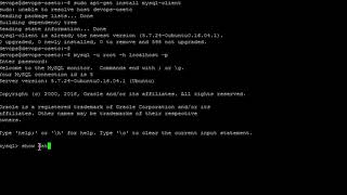 How to connect To Remote MySQL/MariaDB Database Server Via Command Line in Linux