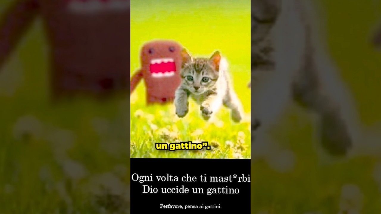 Qual è stato il PRIMO GATTO MEME?