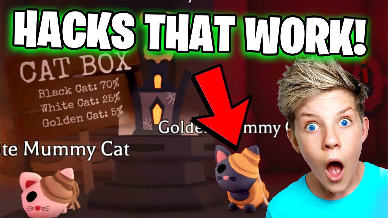 WORKING HACKS TO HATCH GOLDEN MUMMY CAT in Roblox Adopt Me Halloween