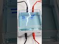 Science Lab Short | Gel Electrophoresis Process 🔥.