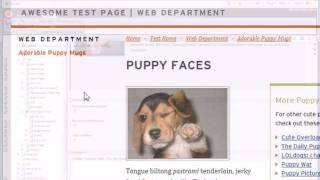 Sitecore Content Loading Dock: Navigation Fields