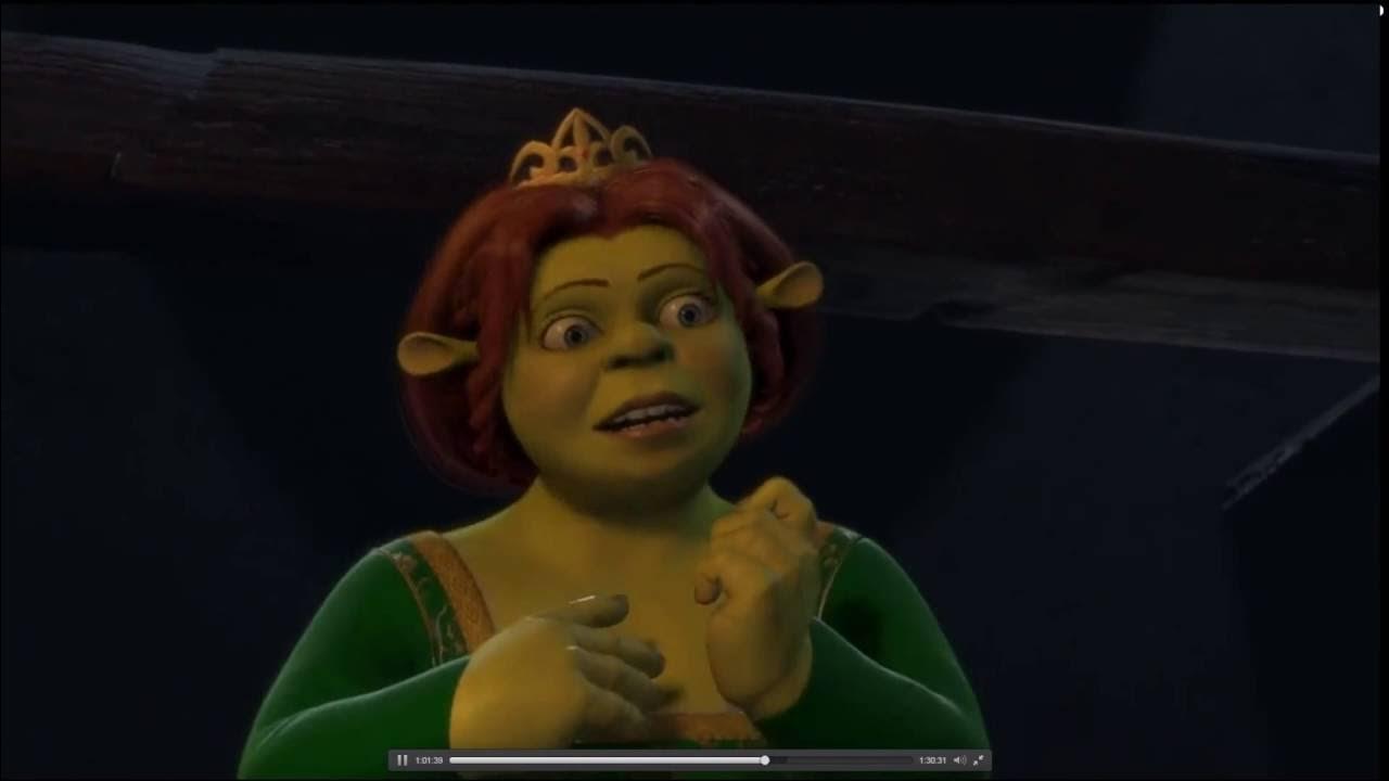 Shrek Donkey sees Fiona's real form for the first time. YouTube
