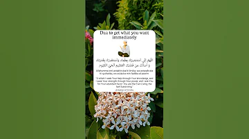 Dua To Get What You Want Immediately 