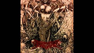 Abomination Impurity - Sacrament for Immortal Flesh