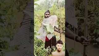 Netting Tilapia in the swamps of south Papua || Tombak Ikan Nila di Pedalaman Papua