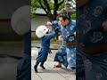 Cuando tu perro es más marcial que tú 😂 #dogfunny #shorts #hilarious