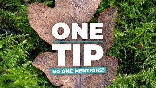 One Photography Tip No One Really Mentions