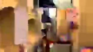 Majors And Berry Dog Fashion Show