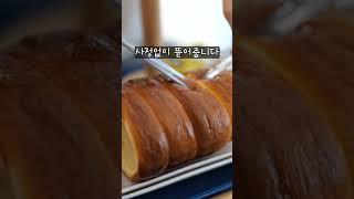 카페편안 영상
