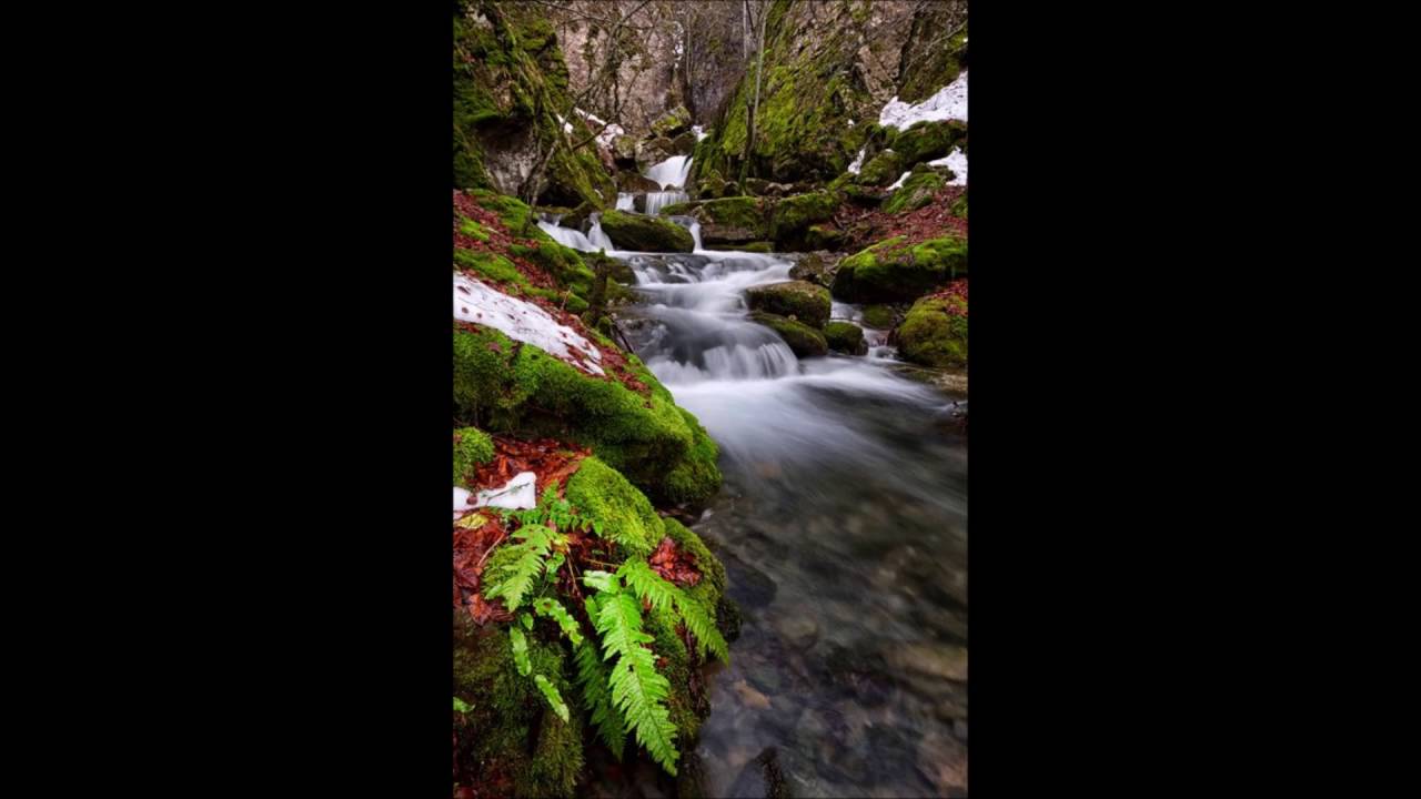 A.N DANIEL - ABAN ABAYATE