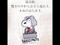 とんでもないはらまきが出来ました…最高級シルク使用。からだもて成す きぬのはらまきPEANUTS