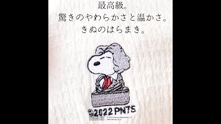 とんでもないはらまきが出来ました…最高級シルク使用。からだもて成す きぬのはらまきPEANUTS