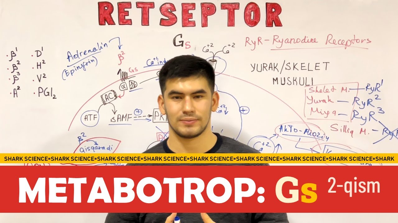 =𝐌𝐄𝐓𝐀𝐁𝐎𝐓𝐑𝐎𝐏 𝐑𝐞𝐭𝐬𝐞𝐩𝐭𝐨𝐫𝐥𝐚𝐫: 𝐆𝐬: 𝟐-𝐪𝐢𝐬𝐦=