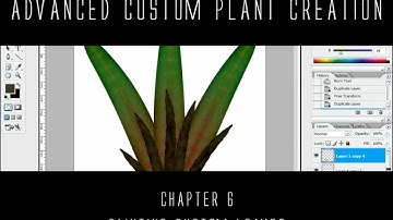 Painting Custom Leaf Textures - Photoshop