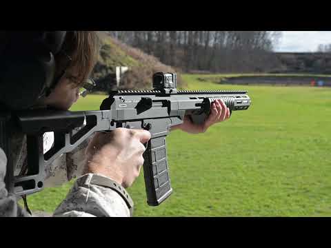 SCSA Taipan X .223 Wylde 16.5" Pump/Straight Pull Rifle - Shooting