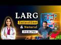 How to Heal Your Large Intestine: Fiber, Food & Natural Remedies for Gut Health