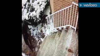 Meek Mill Falls Down Snowy Steps