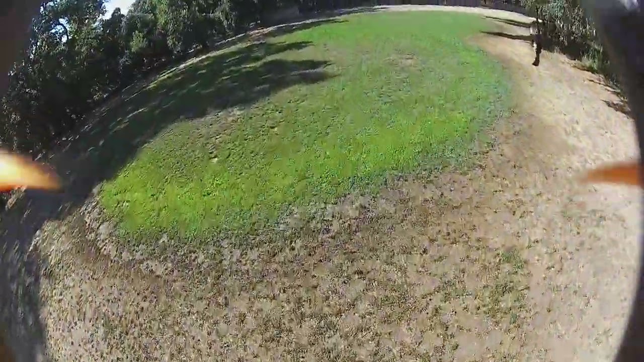 Phantom at the grove