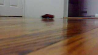 XMODS RC MUSTANG 2010 Xcellent Speed racing car