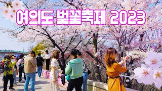여의도 벚꽃축제 2023 🌸 봄꽃 축제, 나들이 인파로 북적이는 한강공원 활짝 핀 벚꽃길🌸4월 1일~ 4월 10일, 벚꽃 포토스팟을 함께 걸어요. 서울 여행, 서울트래블워커.