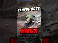ЧТО Я НАТВОРИЛ?! в War Thunder #warthunder #meme #вартандер